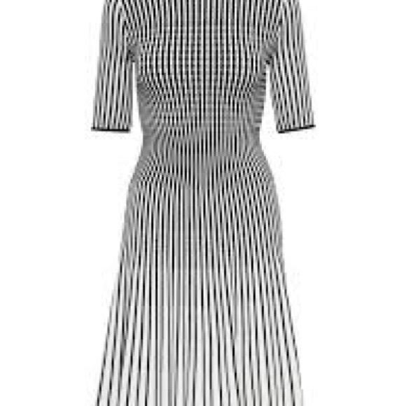 Banana republic NWT White w Black STRIPE FIT-AND-FLARE SWEATER DRESS, XS - Picture 3 of 5